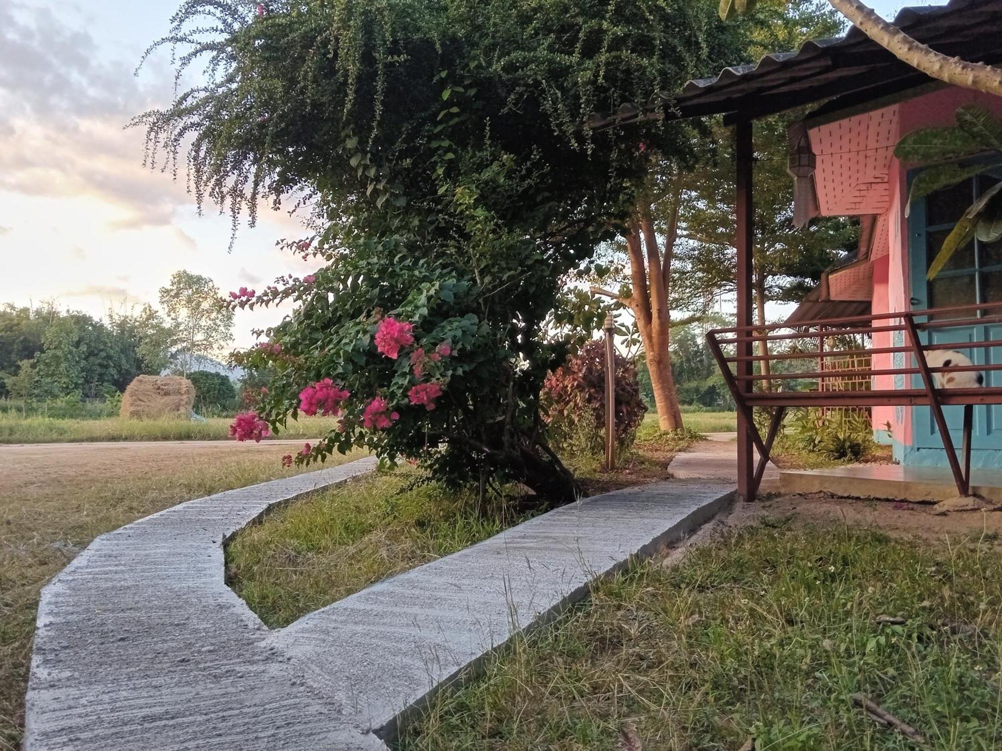 Chill In Pai Ξενοδοχείο Εξωτερικό φωτογραφία